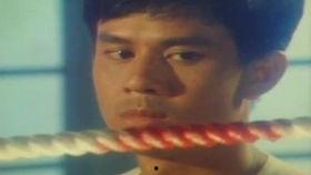 天涯同命鸟演员表,揭秘演员阵容，演绎感人至深的情感纠葛